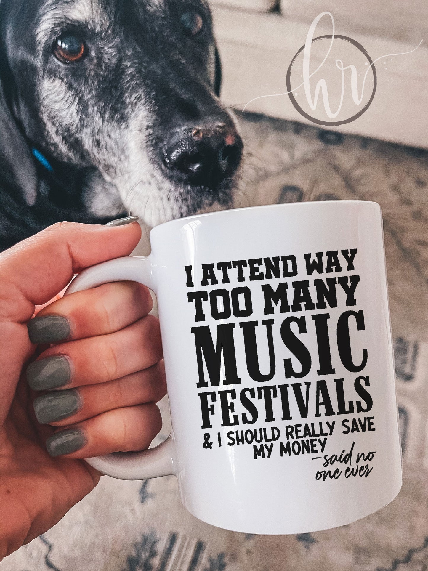 I Attend Way Too Many Music Festivals & I Should Really Save My Money - Said No One Ever Mug